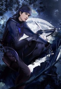 第一殺手女婿
