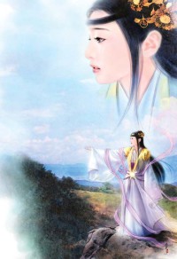 特種兵王
